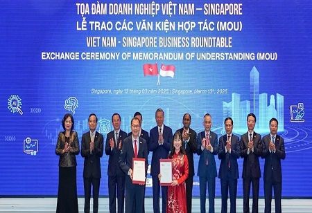 VinUniversity and NTU Forge Strategic Partnership for Innovation