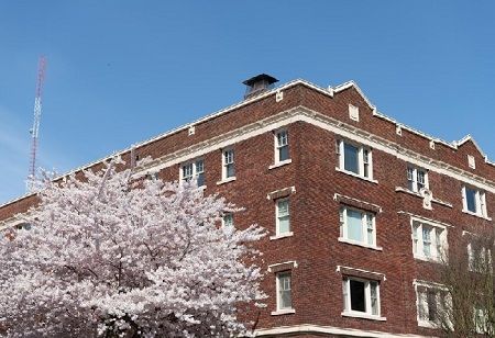 North London Collegiate School Expands to Japan with New Branch